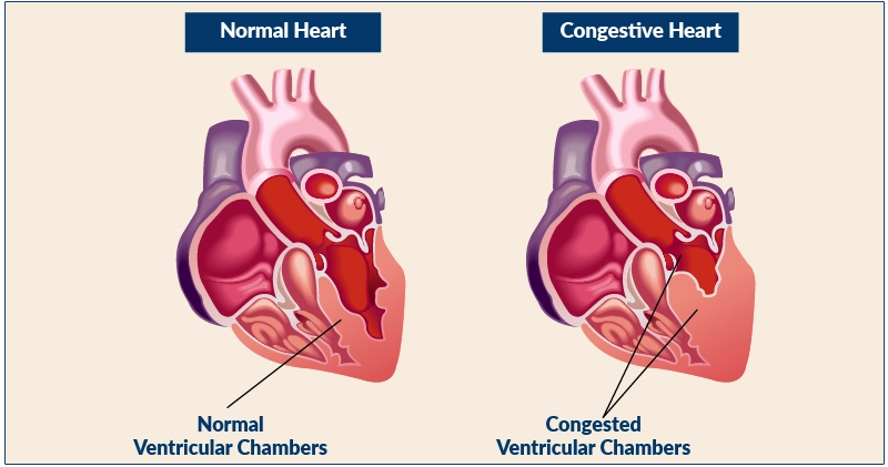 Cardio Clear 7 Benefits
