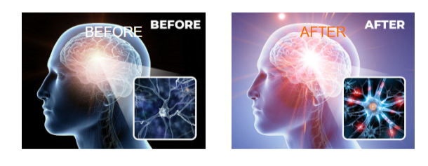 NTX NeuroElite-Benefits
