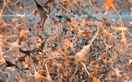 Nerve Soothe-Benefits