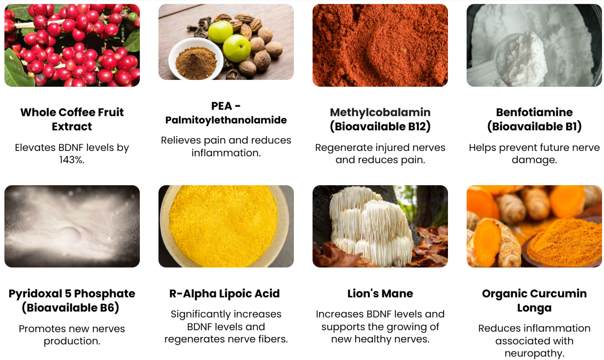 Nu Nerve Ingredients