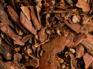 Cascara Sagrada Bark