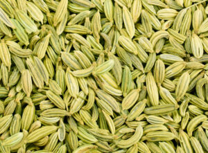 Fennel Seed