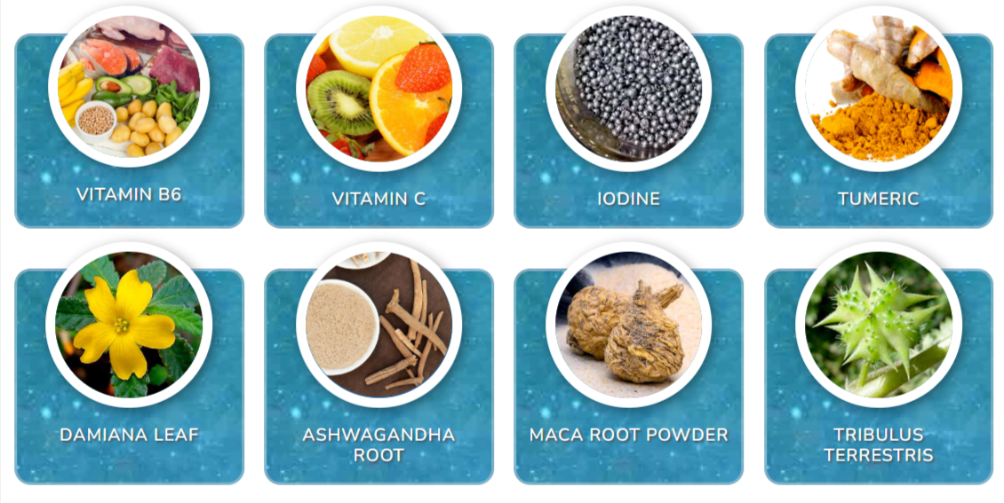 Pineal 10X Ingredients